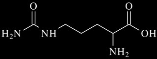 L- Citruline