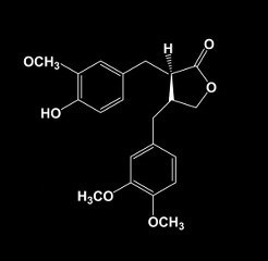 Arctigenin