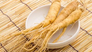 Korean Panax Ginseng