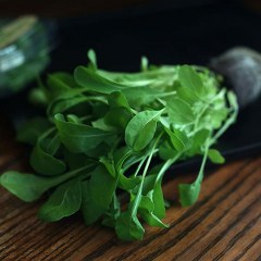 Arugula