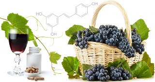 Resveratrol