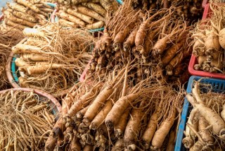 American Ginseng Root